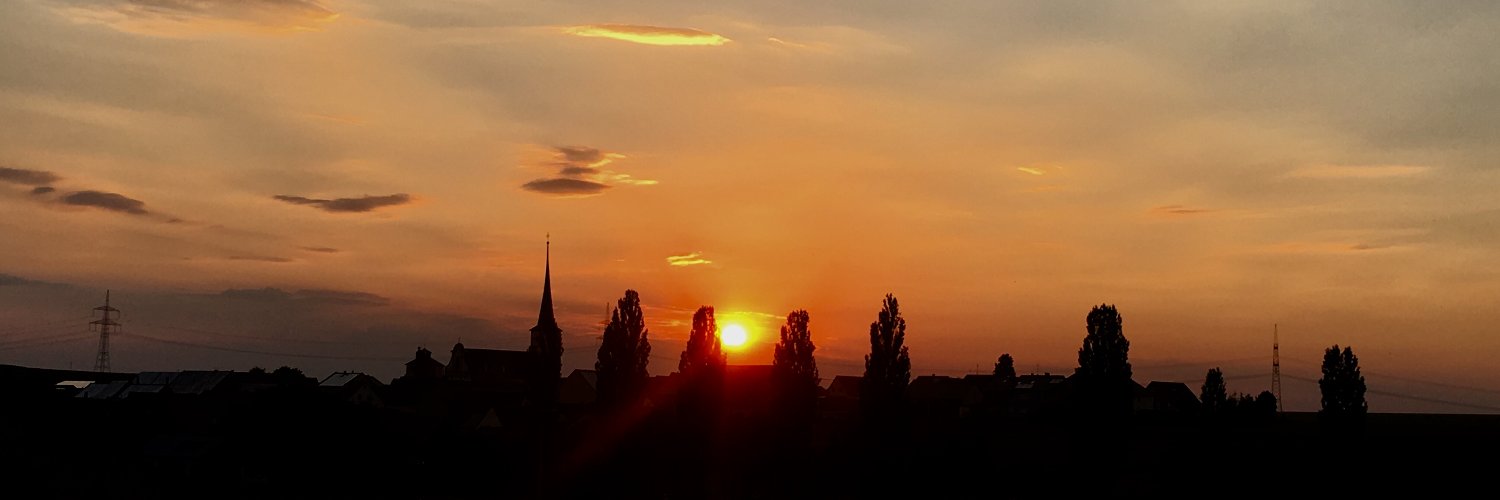 Gerhard Bless banner