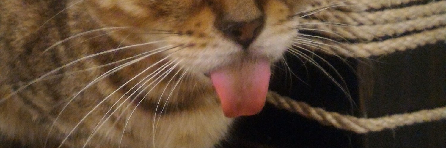 chowfau's profile banner image
