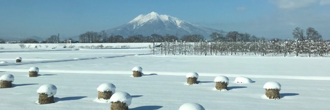 mochiko617's profile banner image