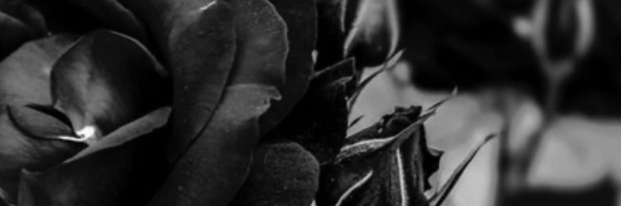 GrandePito_'s profile banner image