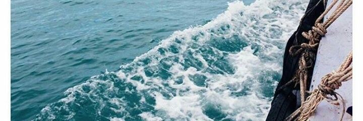 🌻 banner