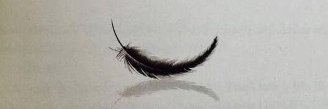 LupysMolina's profile banner image