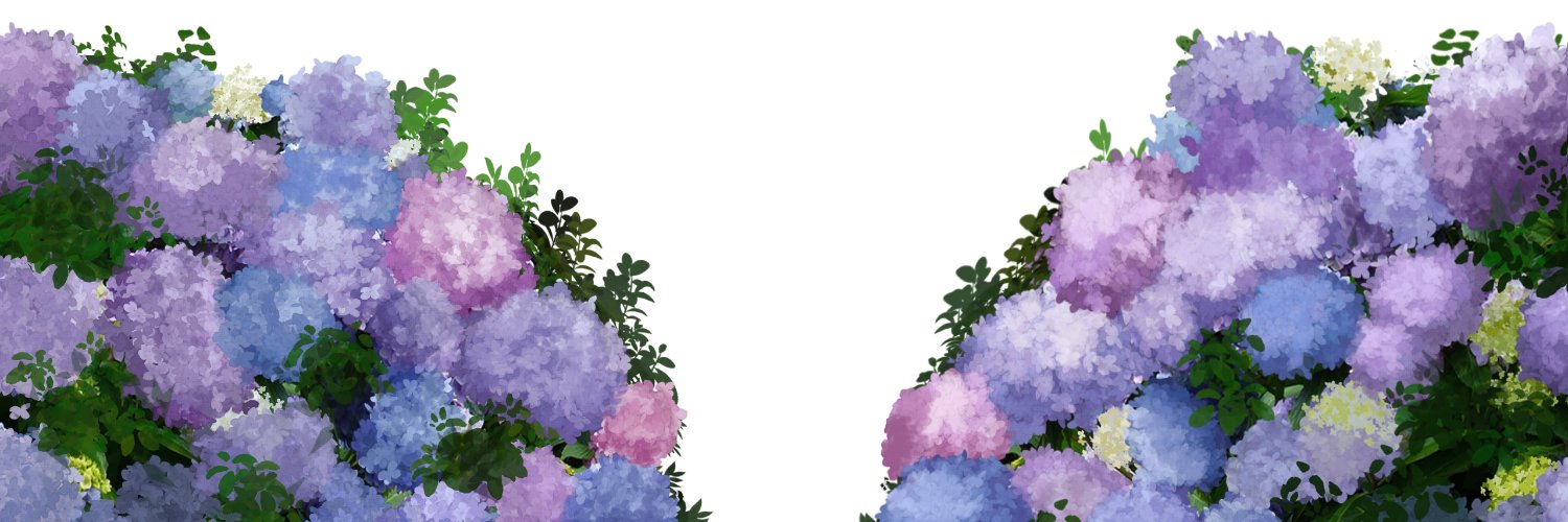 rom banner