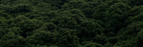 matthiasgeihs Profile Banner