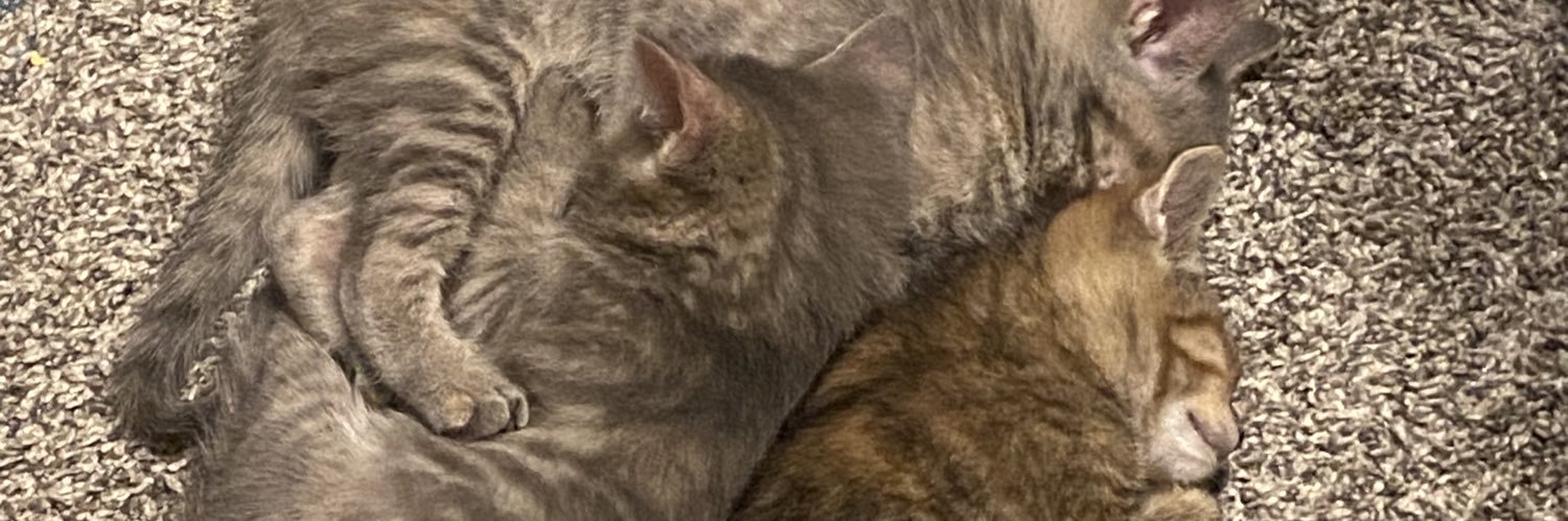 DupliseaMandy's profile banner image