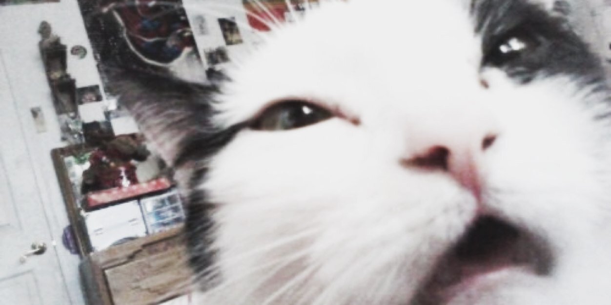 hereforhiscurls's profile banner image