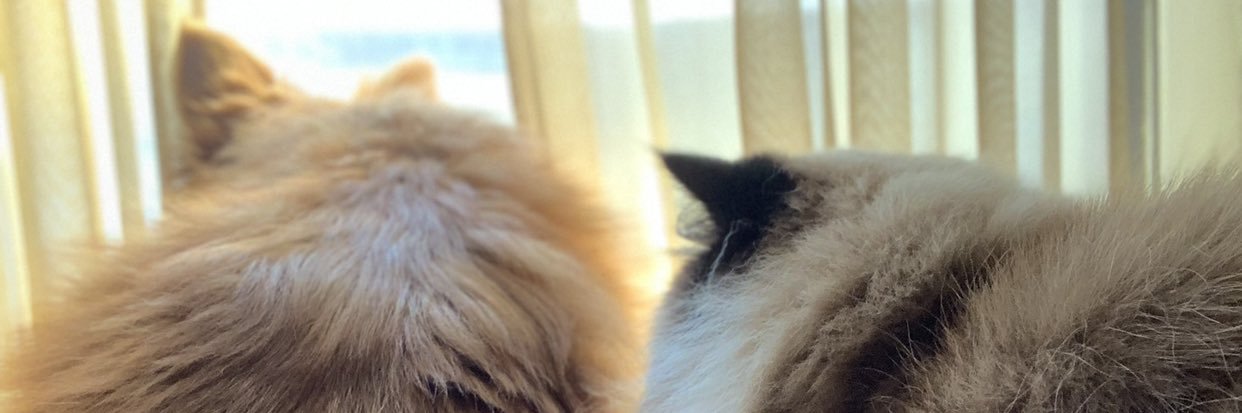 Missy4Geeks's profile banner image