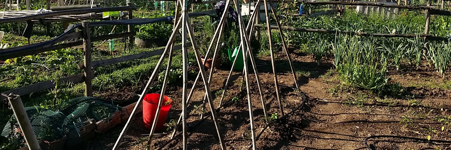 Federico Formica banner