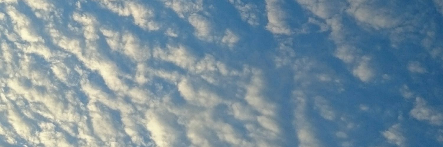 DildusMalicius's profile banner image