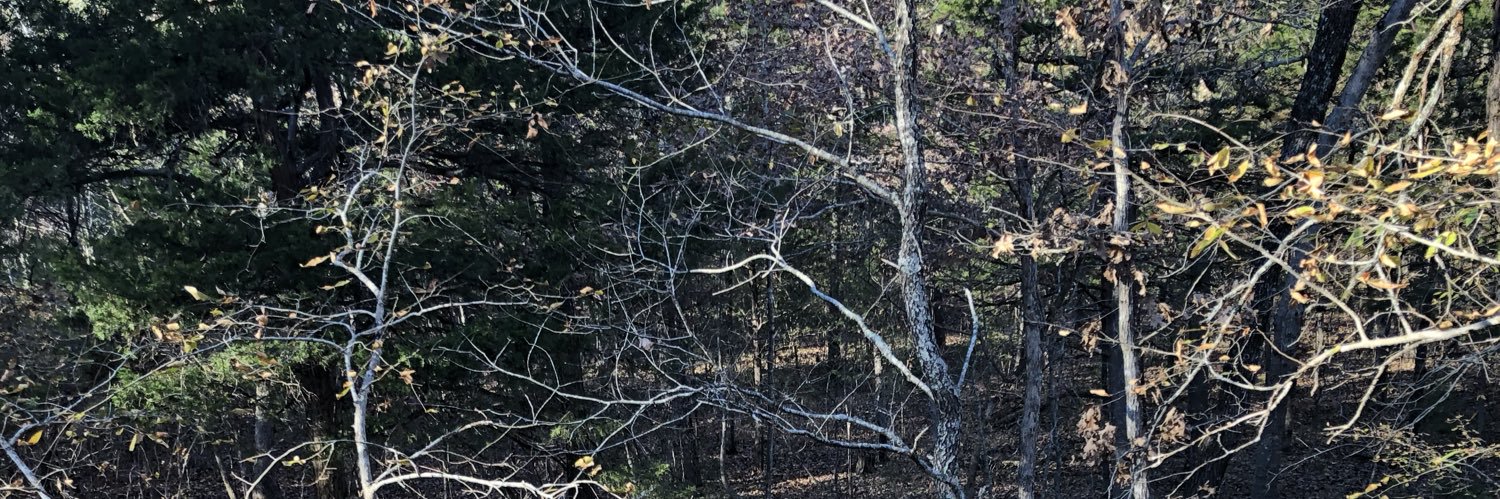 tgray713's profile banner image