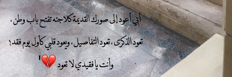 LaylaAhmed1409's profile banner image