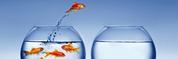 GEMAMOLERO Profile Banner