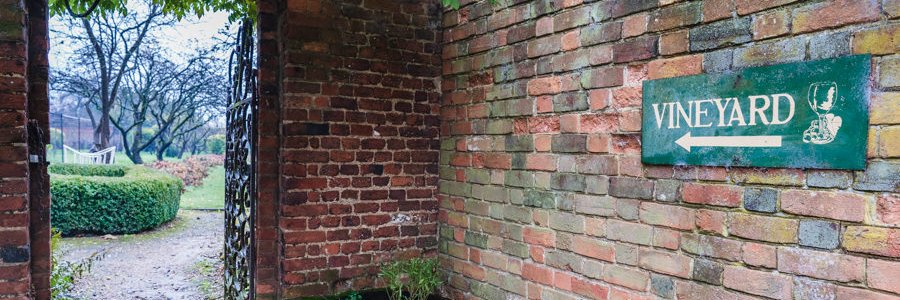 natupe's profile banner image