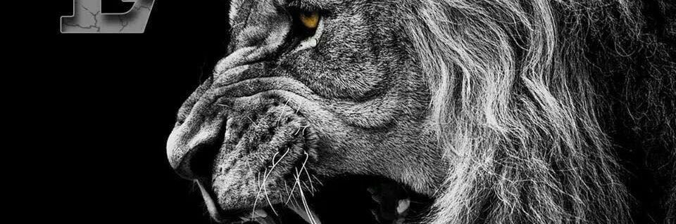 AwadaSteven's profile banner image