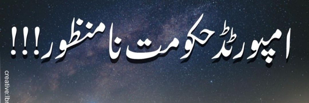 sunny pasha banner