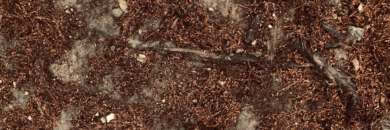 ialynnep's profile banner image