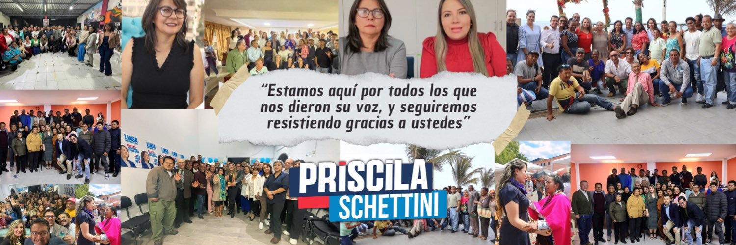 PrisSchettini's profile banner image