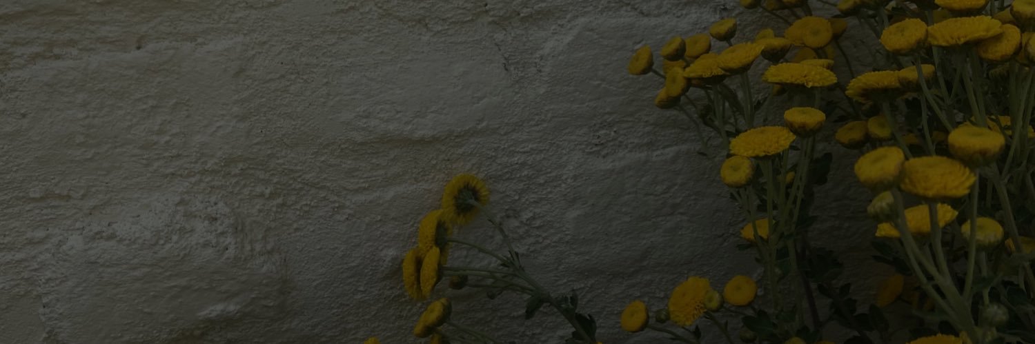 _salimbhat_'s profile banner image