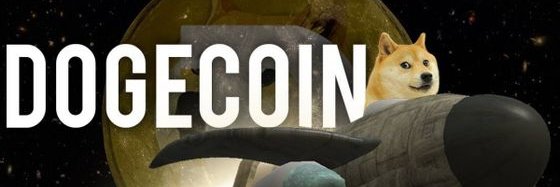 Dogecoin2_'s profile banner image