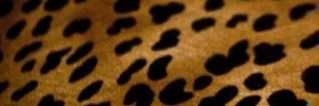 Nicoleray90's profile banner image