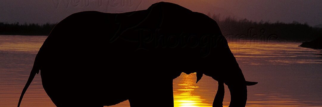 Maii_thili's profile banner image