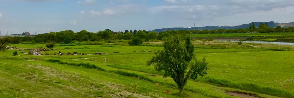 BEAUTIFUL PHOTOS banner