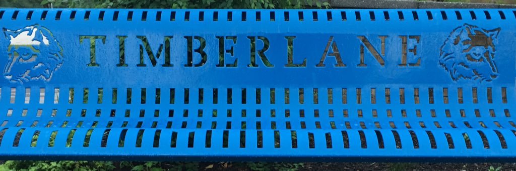 TMS-Hopewell Valley banner