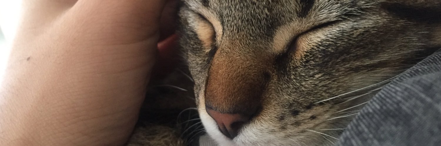 Gracias Lucinda banner