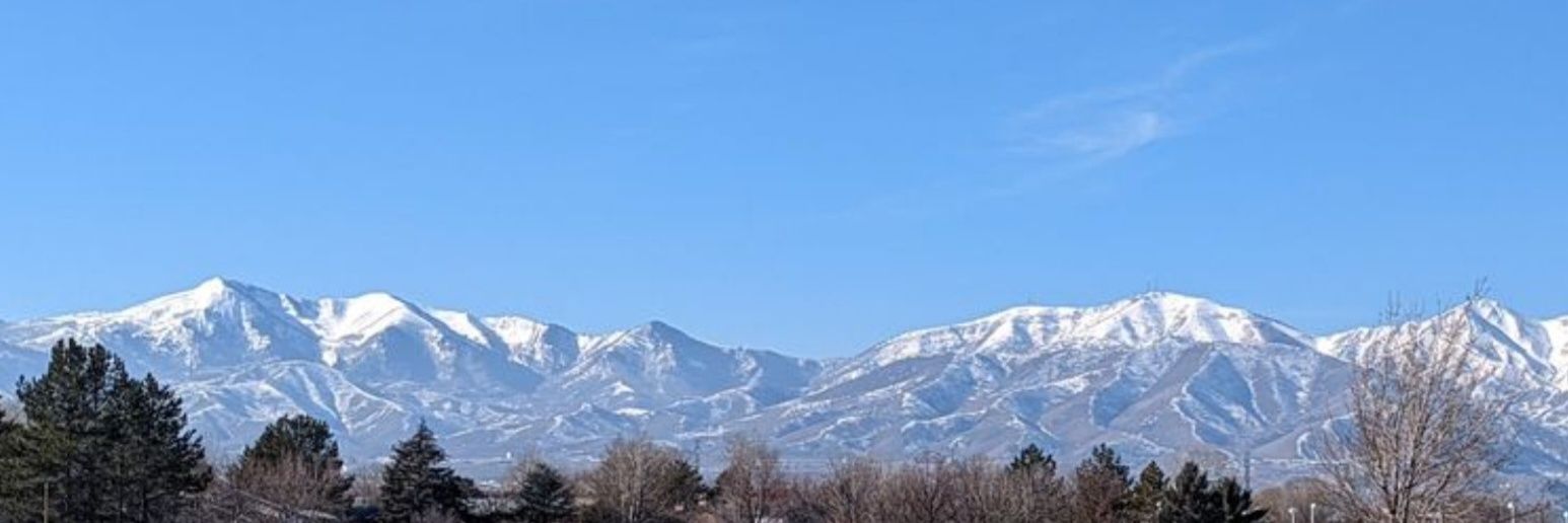 Ron Rice: deleuzian marxist 🇵🇸 🇨🇺 🇻🇪 banner