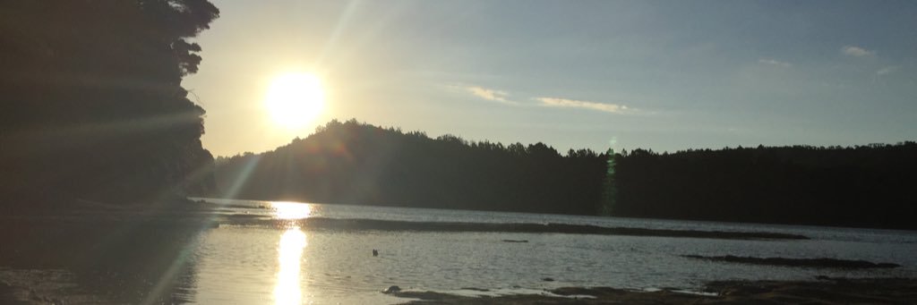 CrystalSavx8's profile banner image