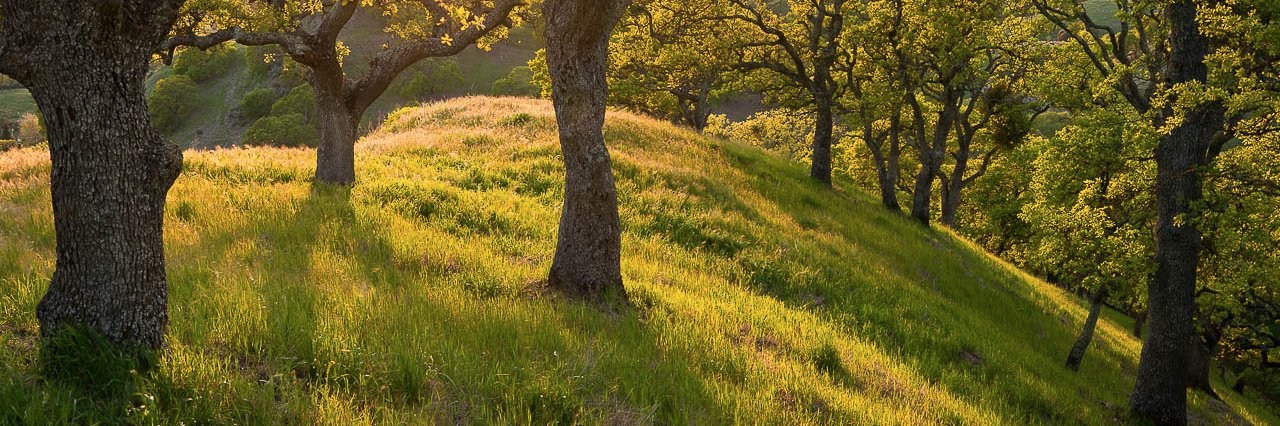 TechWebster's profile banner image