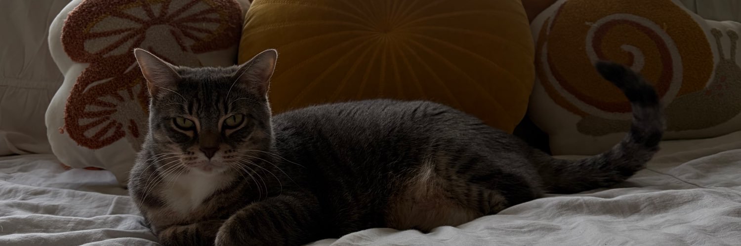 cyn ☼ banner