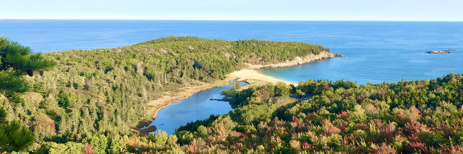 Ayman Saeyeldin banner