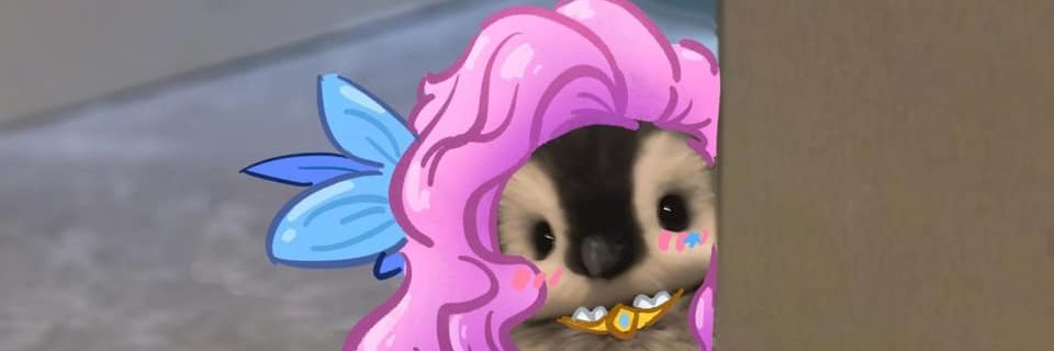 CanadianVador's profile banner image
