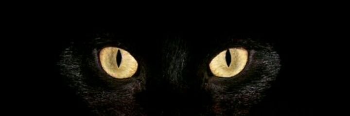 Moka448's profile banner image