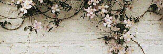 Shereen banner