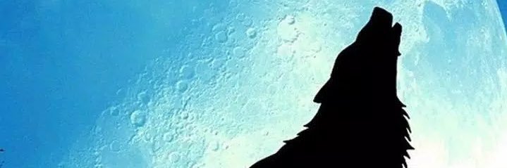 Mani banner