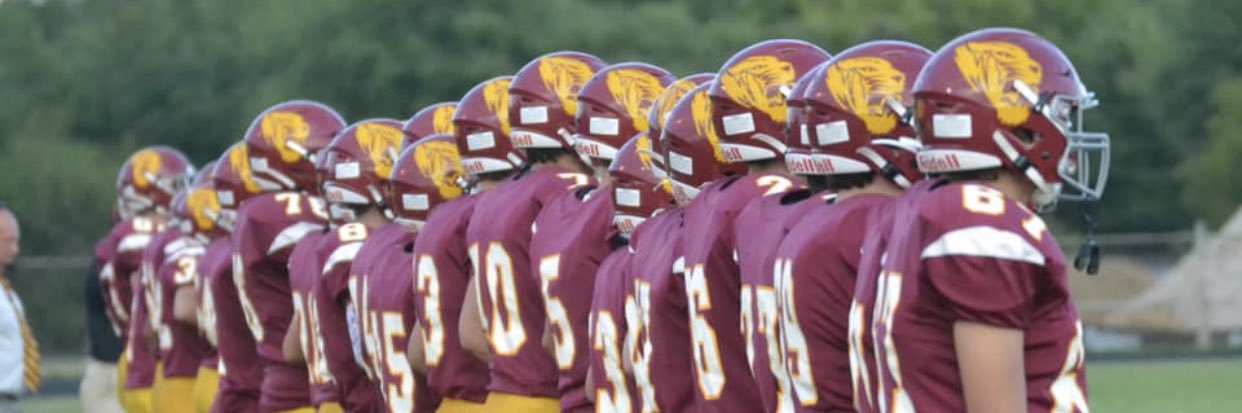 Alex Tiger Football banner