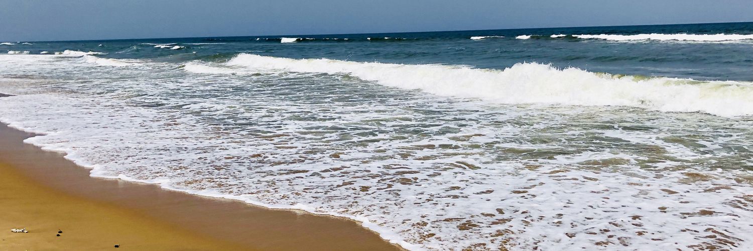 vignesh0606's profile banner image