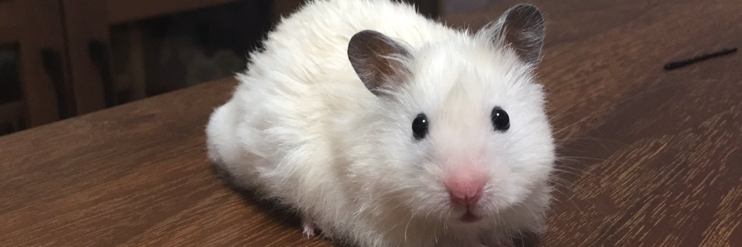 RuBump's profile banner image