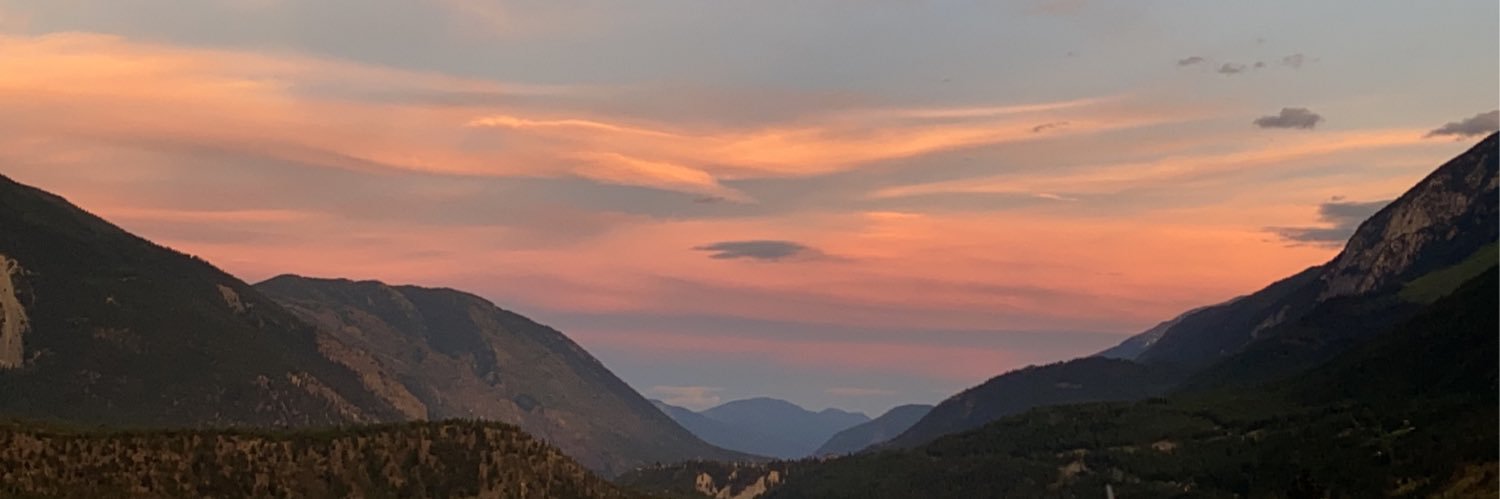 tal_kane's profile banner image