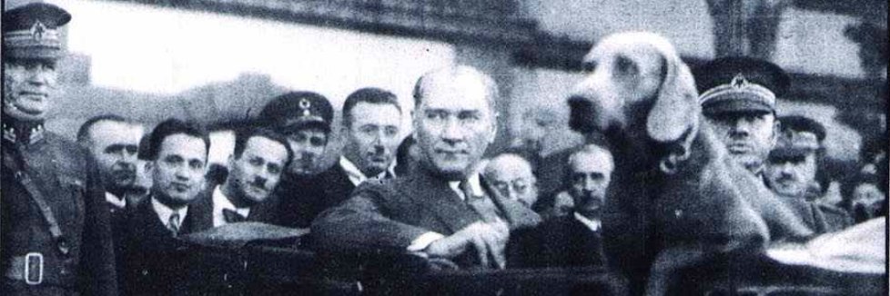 Davut Sakallı 🕊 banner