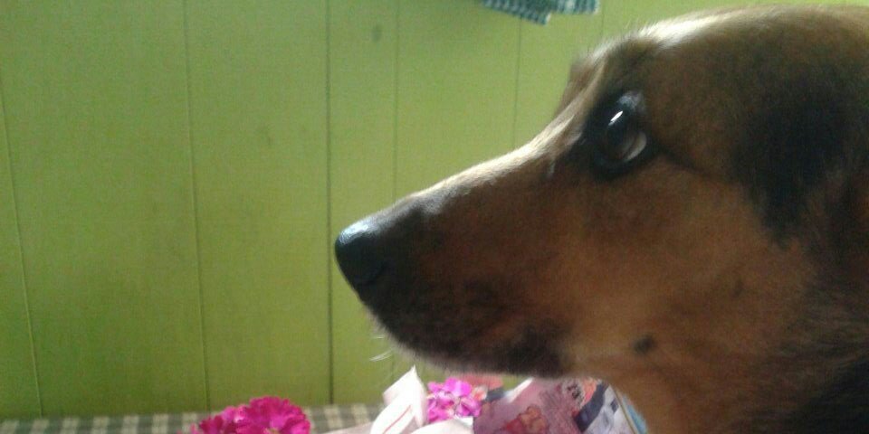 veradiego's profile banner image