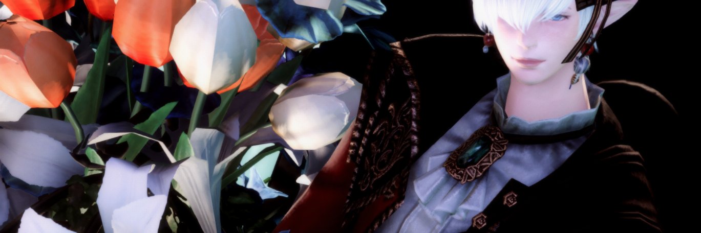 Ruu ルーイ🐰 banner