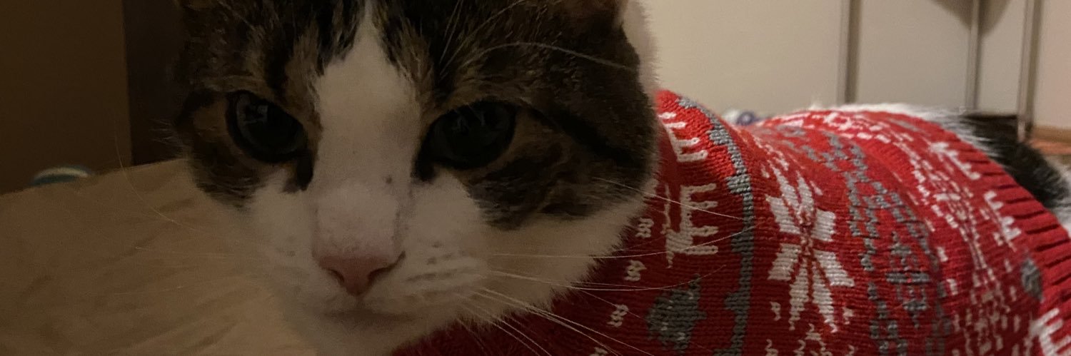 fungy banner