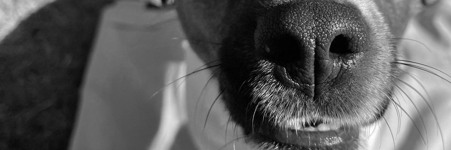 valennpedraza's profile banner image