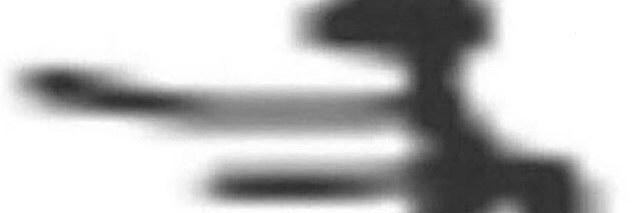 SamTheSnowyOwl's profile banner image