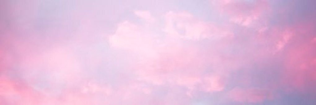 Trixster Fey ⋆𖦹.✧˚'s banner