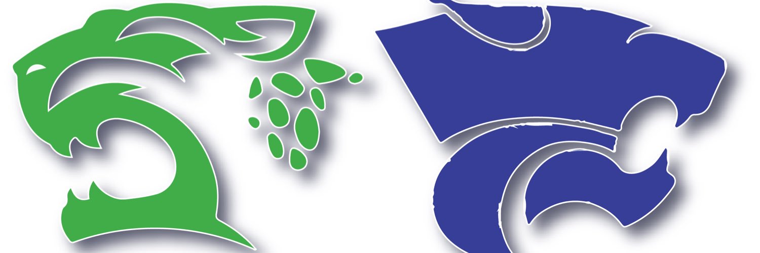 FCStudentSenate's profile banner image