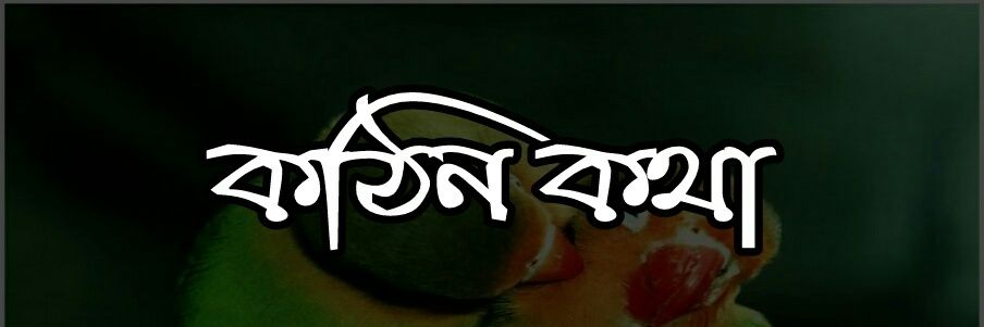 Kathinkotha1's profile banner image